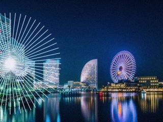 Learning in the Wild with Incremental Skeptical Gaussian Processes