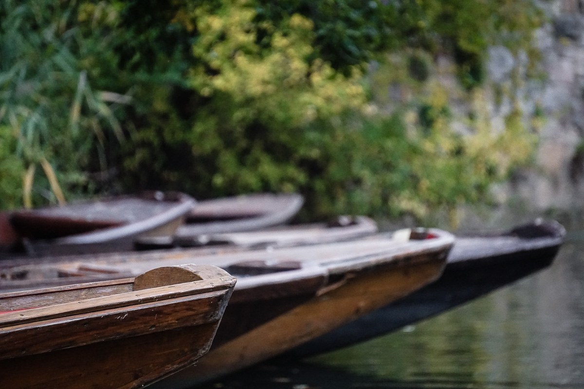 Punting boats on the Neckar