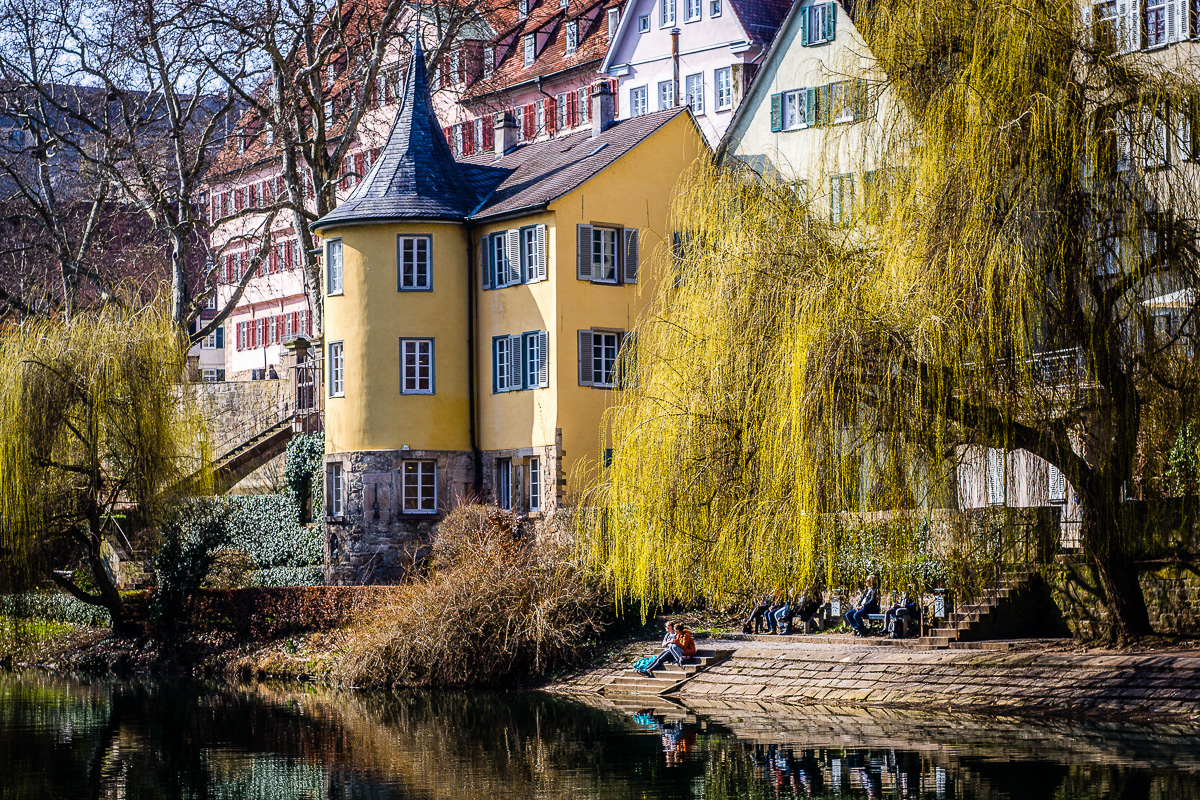 The Hölderlin Tower on the Neckar river, surrounded by trees