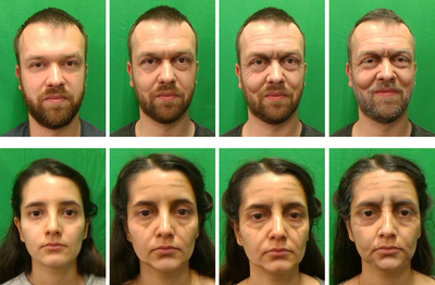 aim_samples.png Samples from the AIM Dataset