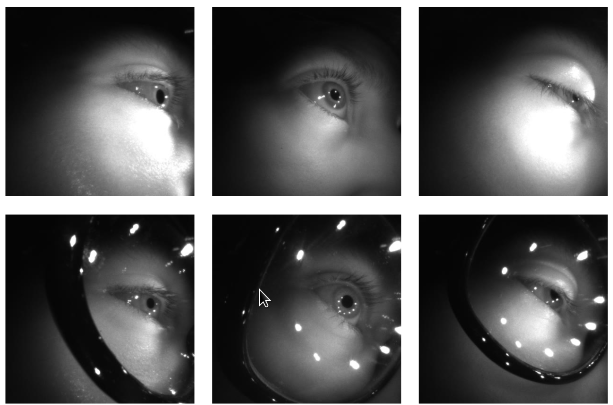 Figure 1. Samples of bona-fide recordings from the VRBiom dataset. Each row presents a sample of steady gaze, moving gaze, and partially closed eyes (from left to right). Top and bottom rows refer to recordings without and with glasses, respectively.