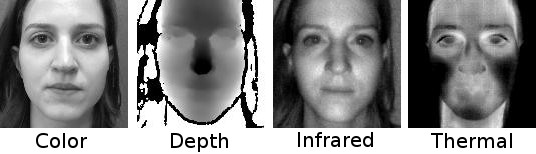 bf_preprocessed.jpg bf_preprocessed.jpg