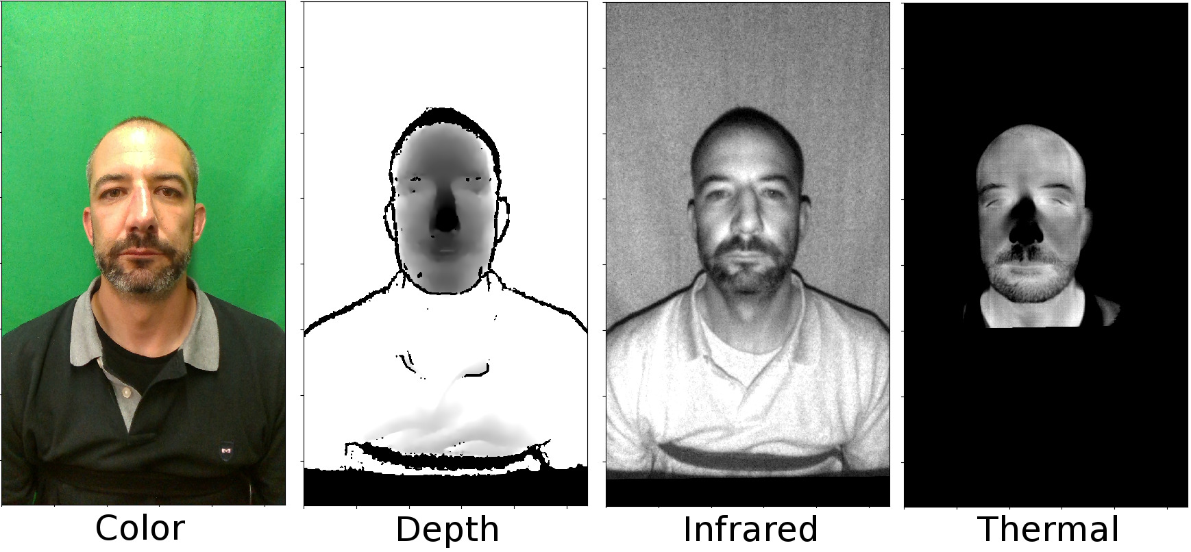 bf_sample.jpg bf_sample.jpg