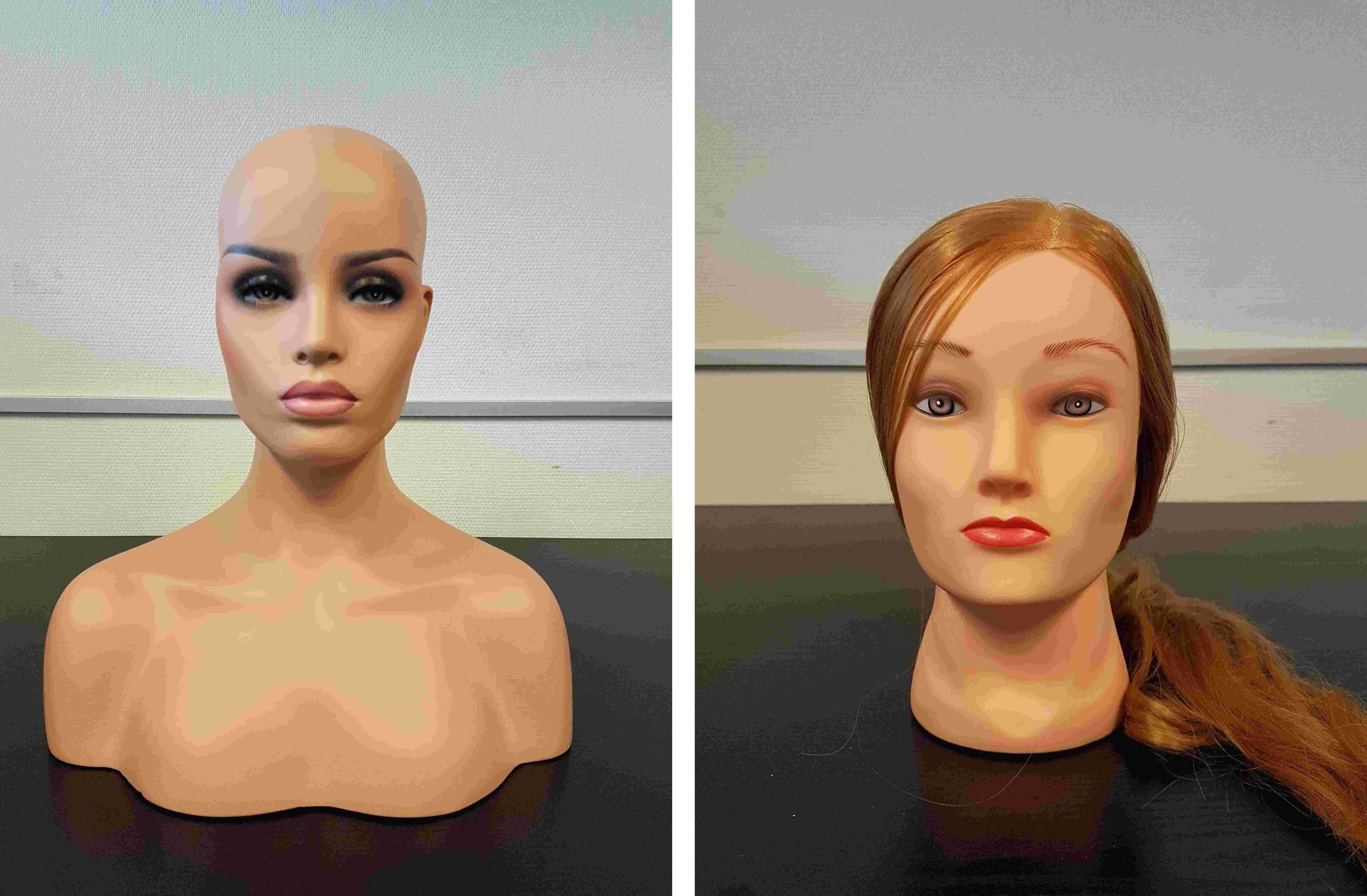 fake_head.jpg fake_head.jpg